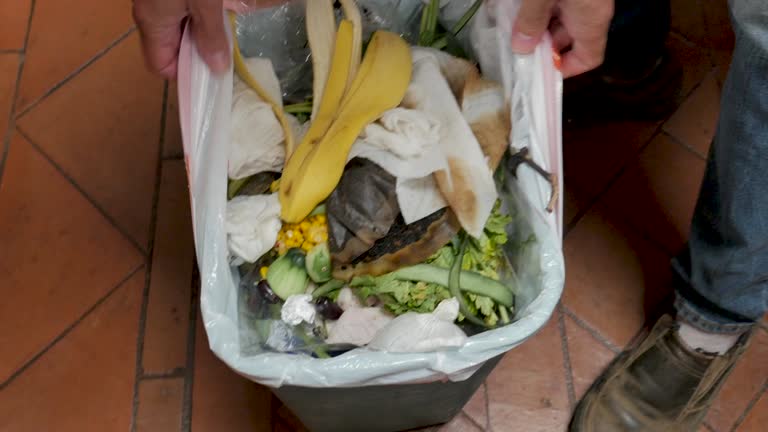 Professional Junk Removal Services in Croton On Hudson, NY